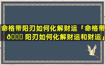 命格带阳刃如何化解财运「命格带 🐟 阳刃如何化解财运和财运」